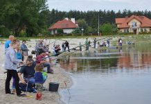 PZW: Międzynarodowy Dzień Dziecka – 2015