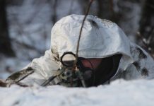 Rozpoczynamy od poligonu