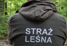 Zakończyła się akcja Jesień 2022