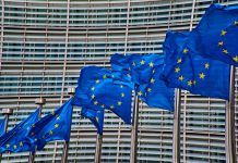 Wyniki wyborów do Parlamentu Europejskiego z gminy Nowa Dęba
