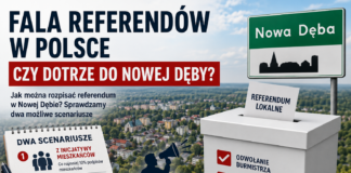 FALA REFERENDÓW O ODWOŁANIE WŁODARZY MIAST. CZY DOTRZE DO NOWEJ DĘBY?